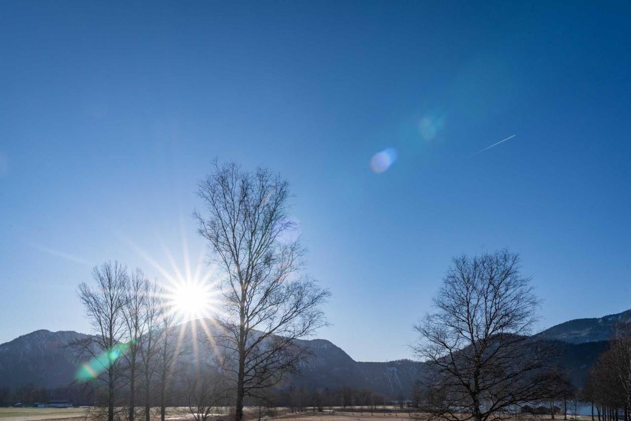 Klosterbraeu Schlehdorf Exteriör bild